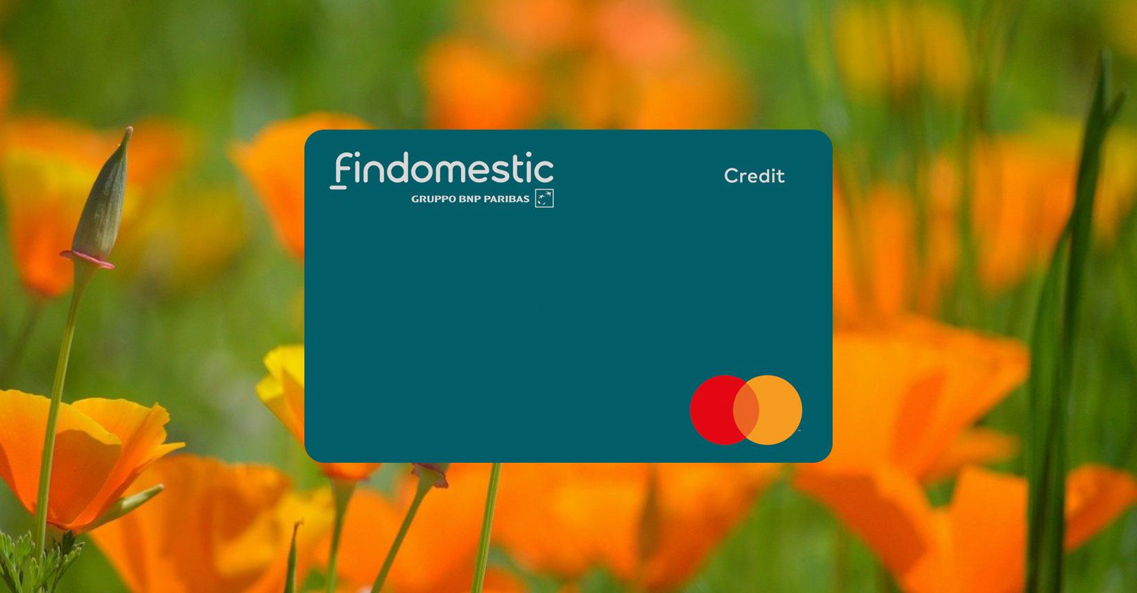 Guida Completa Come Richiedere la Carta di Credito Findomestic